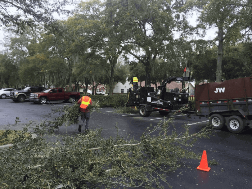 24-Hour Emergency Tree Service Provider