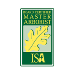 ISA Board Certification As Master Tree Surgeon